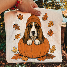 Load image into Gallery viewer, Pumpkin Puppies In Beanies Breed DROPDOWN TRANSFER UAC JULY 26

