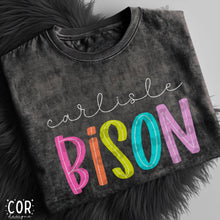 Load image into Gallery viewer, Neon Bright Line Bison DROPDOWN TRANSFER COR
