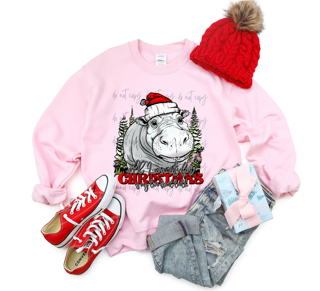 All I Want For Christmas Are My Two Front Teeth Hippo TRANSFER