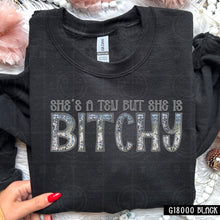 Load image into Gallery viewer, She’s A Ten But Faux Embroidery Titles DROPDOWN TRANSFER HMWK DEC
