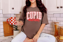 Load image into Gallery viewer, Chaos Distressed Sayings TRANSFER HOOPLA JAN 26
