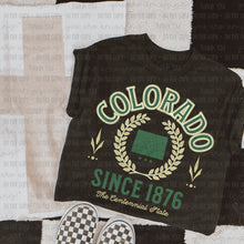 Load image into Gallery viewer, Color States (all 50 states available) TRANSFER OHDD MAY 25
