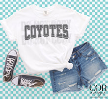 Load image into Gallery viewer, Varsity Mascot DROPDOWN TRANSFER COR
