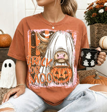 Load image into Gallery viewer, Trick Or Moo TRANSFER AGCM AUG 26
