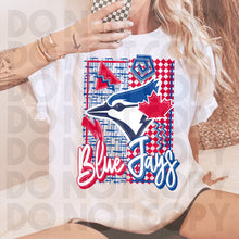 Load image into Gallery viewer, Retro Baseball Team Dropdown TRANSFER RHD JAN 26
