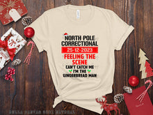 Load image into Gallery viewer, North Pole Correctional (Drop Down) TRANSFER
