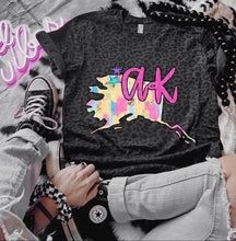 Load image into Gallery viewer, Preppy Bright Brushstroke States (all 50 states available) TRANSFER CAP APR
