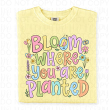 Load image into Gallery viewer, Bloom Where You Are Planted TRANSFER UAC FEB 26
