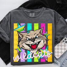Load image into Gallery viewer, Neon Stripes Mascots DROPDOWN TRANSFER CSD APR 26
