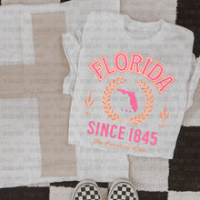 Load image into Gallery viewer, Color States (all 50 states available) TRANSFER OHDD MAY 25
