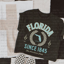 Load image into Gallery viewer, Neutral States (all 50 states available) TRANSFER OHDD MAY 25
