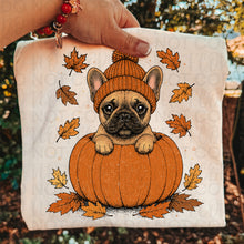 Load image into Gallery viewer, Pumpkin Puppies In Beanies Breed DROPDOWN TRANSFER UAC JULY 26
