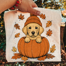 Load image into Gallery viewer, Pumpkin Puppies In Beanies Breed DROPDOWN TRANSFER UAC JULY 26
