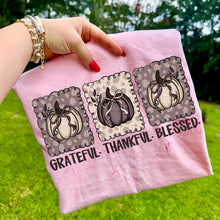 Load image into Gallery viewer, Grateful Thankful Blessed Pumpkins TRANSFER SDD SEPT
