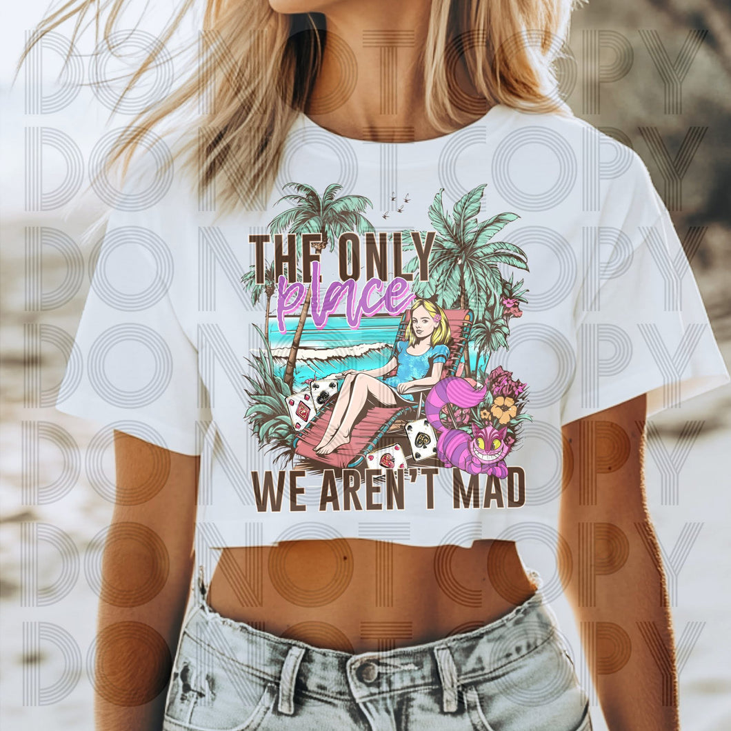 The Only Place We Aren’t Mad TRANSFER SSD APRIL 25 TIM BUR SUMMER COLLAB RHD x SSD