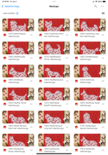 Load image into Gallery viewer, Valentine Red Floral Dog Breed Option DROPDOWN TRANSFER SWD DEC 25
