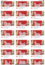 Load image into Gallery viewer, Valentine Red Floral Dog Breed Option DROPDOWN TRANSFER SWD DEC 25
