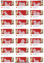 Load image into Gallery viewer, Valentine Red Floral Dog Breed Option DROPDOWN TRANSFER SWD DEC 25
