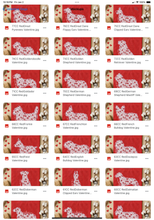 Load image into Gallery viewer, Valentine Red Floral Dog Breed Option DROPDOWN TRANSFER SWD DEC 25
