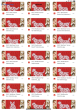 Load image into Gallery viewer, Valentine Red Floral Dog Breed Option DROPDOWN TRANSFER SWD DEC 25
