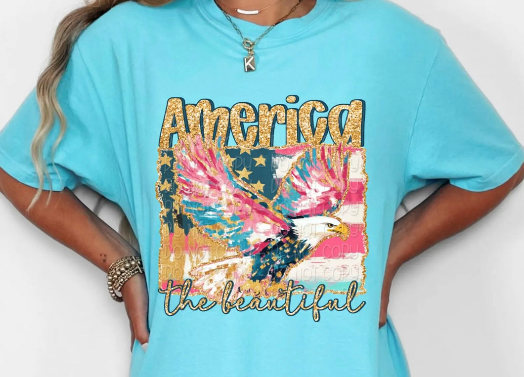 America The Beautiful TRANSFER DWD MAY 25