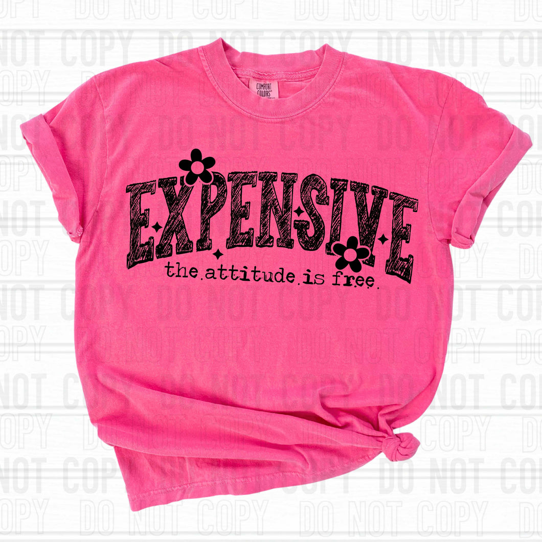 Expensive The Attitude Is Free Dropdown TRANSFER SBB JAN 25