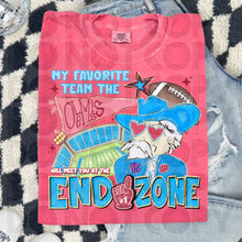 Load image into Gallery viewer, My Favorite Team Will Meet You At The End Zone Mascot + Color Dropdown TRANSFER RHD AUG 25
