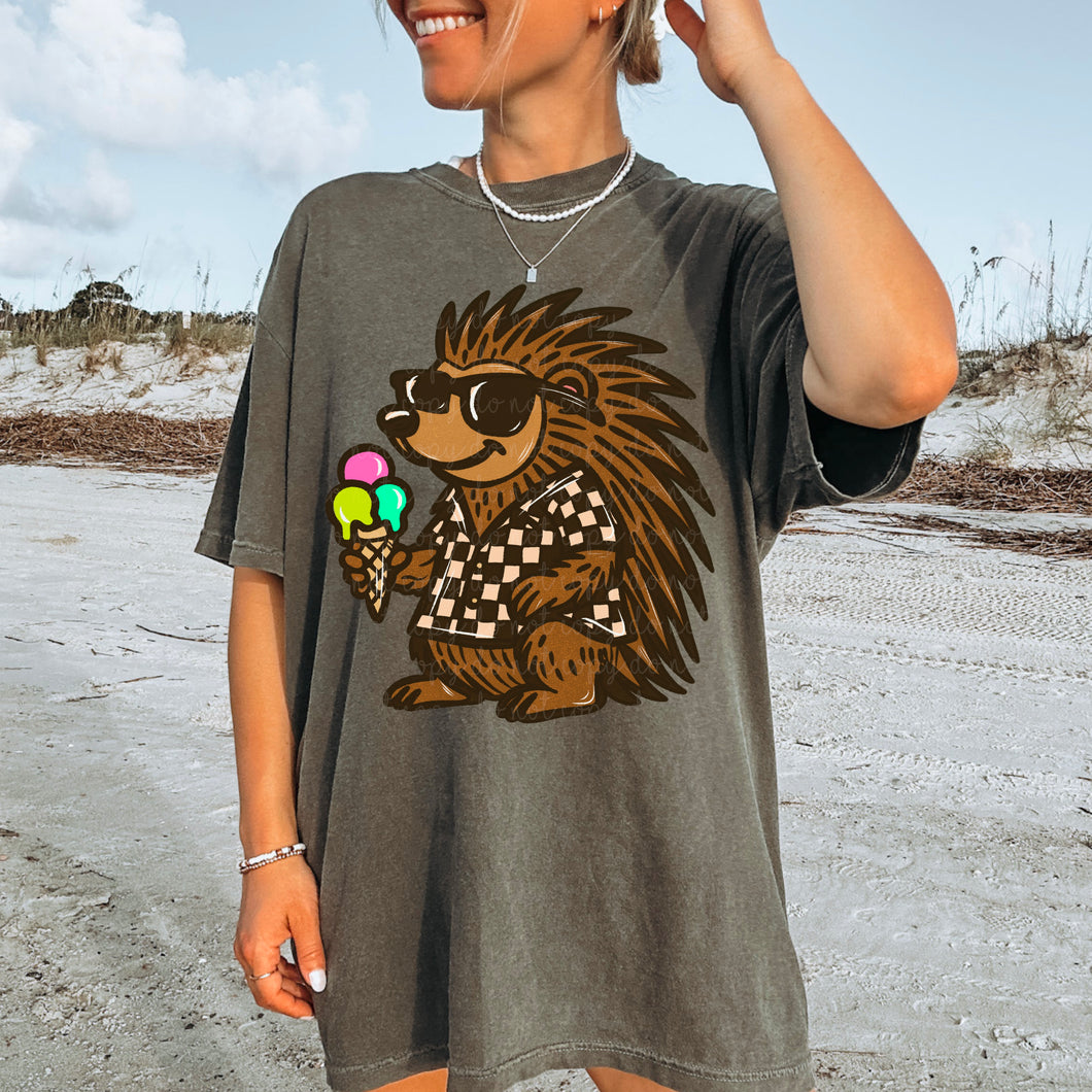 Porcupine With Ice Cream TRANSFER MOON JUNE 25