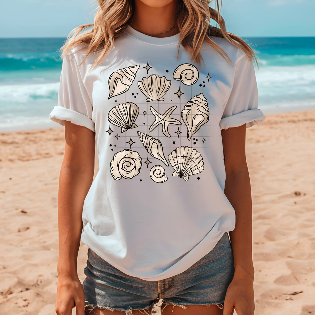 Beige Seashells TRANSFER CSC APR