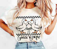 Load image into Gallery viewer, Goose Bumps Checkered Coquette Color Dropdown TRANSFER
