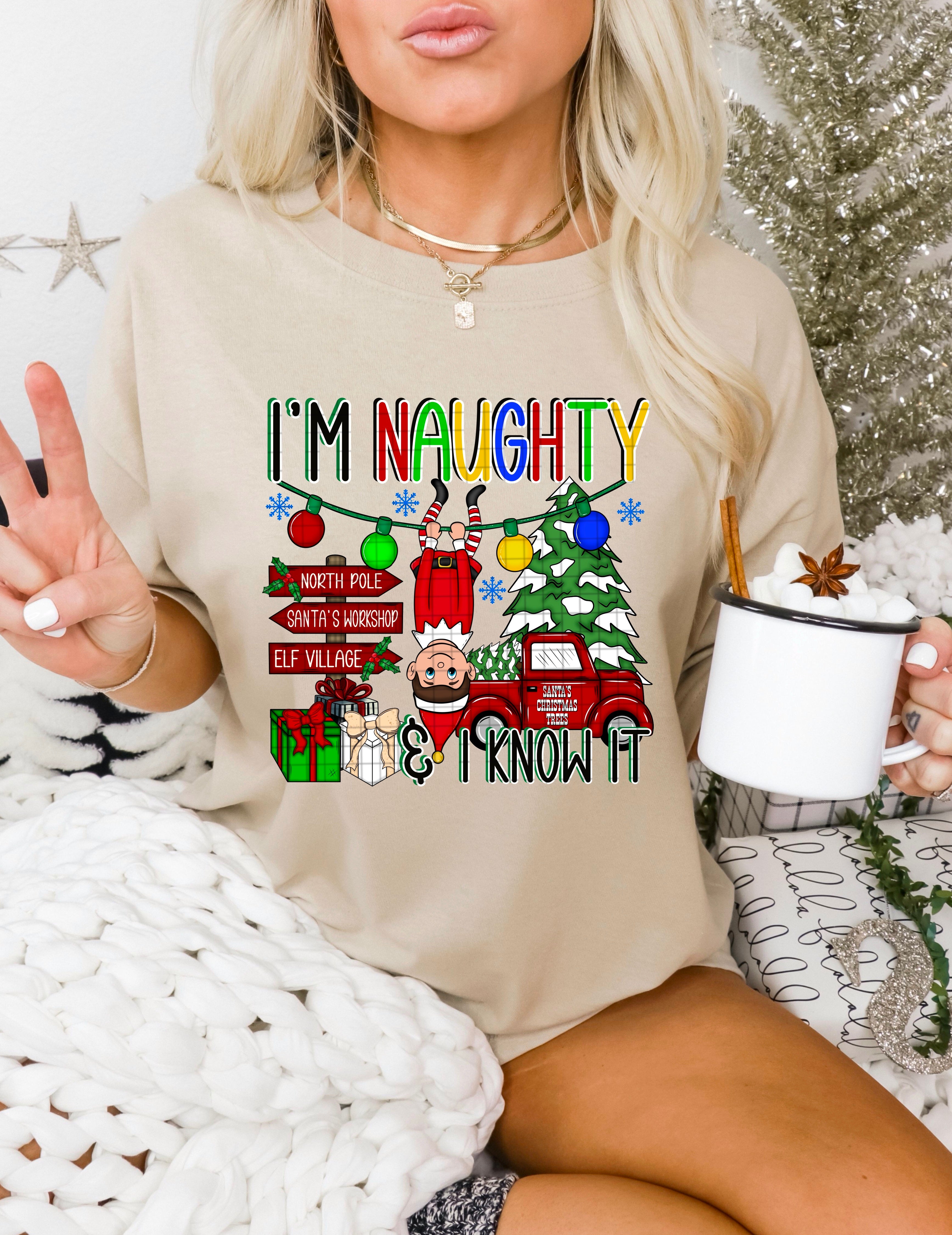 I’m Naughty & I Know It TRANSFER DDVA OCT 25 ALL THINGS CHRISTMAS COLL ...