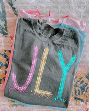 Load image into Gallery viewer, JLY Bright Lines TRANSFER OHDD APR 25
