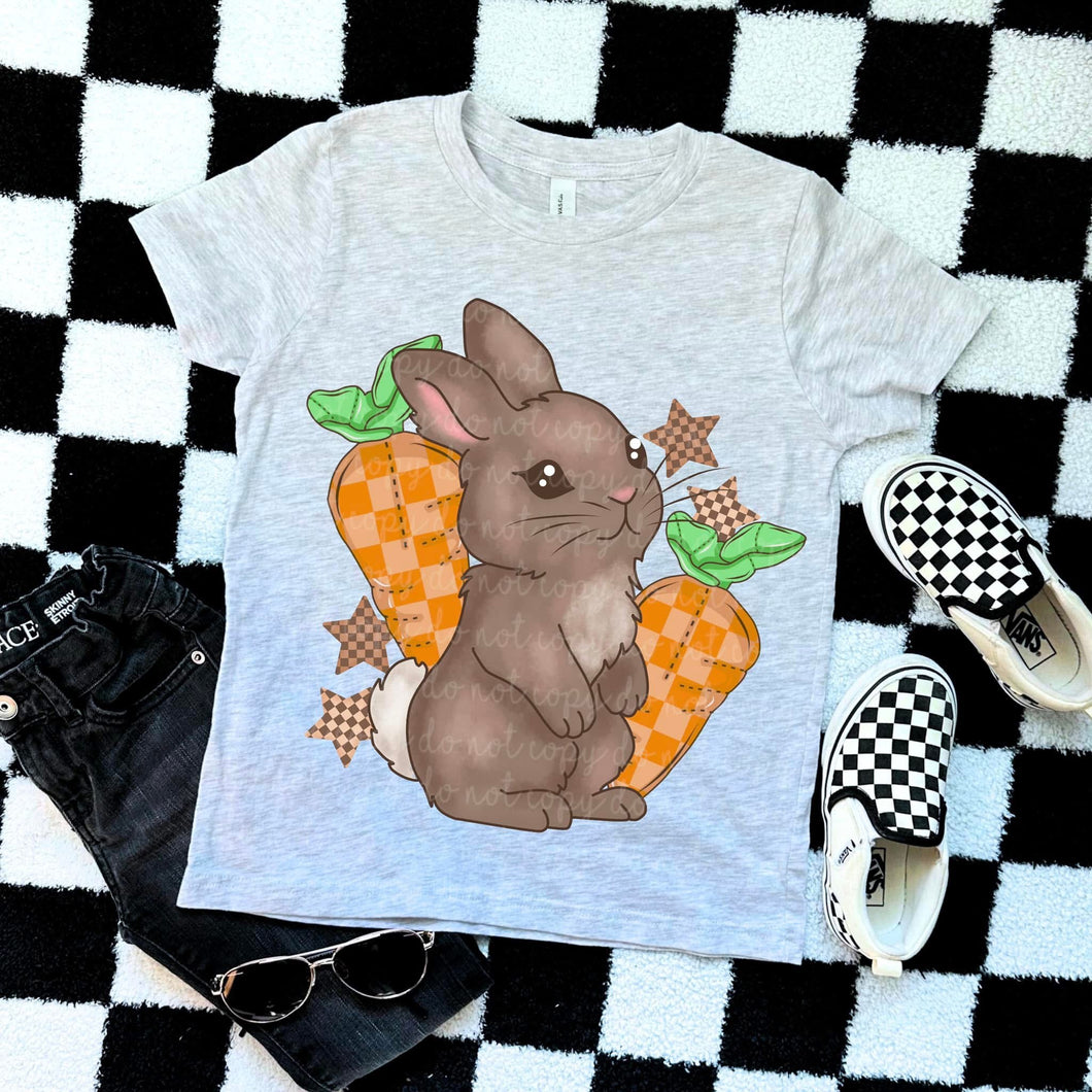 Bunny Checkered Carrots TRANSFER MOON THRIFTY FEB 25