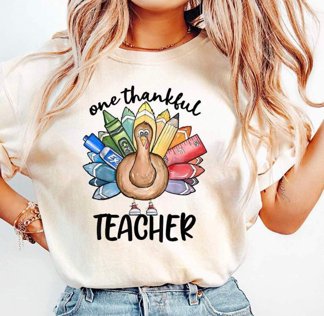 One Thankful Teacher Turkey TRANSFER