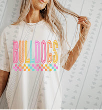 Load image into Gallery viewer, Bright Retro Checkered Mascots DROPDOWN TRANSFER
