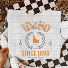 Load image into Gallery viewer, Color States (all 50 states available) TRANSFER OHDD MAY 25
