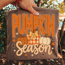 Load image into Gallery viewer, Pumpkin Season Faux Paint Splatter Leopard Plaid And Spotted Pumpkin Trio TRANSFER UAC JULY 26
