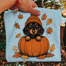 Load image into Gallery viewer, Pumpkin Puppies In Beanies Breed DROPDOWN TRANSFER UAC JULY 26
