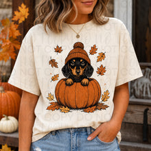 Load image into Gallery viewer, Pumpkin Puppies In Beanies Breed DROPDOWN TRANSFER UAC JULY 26
