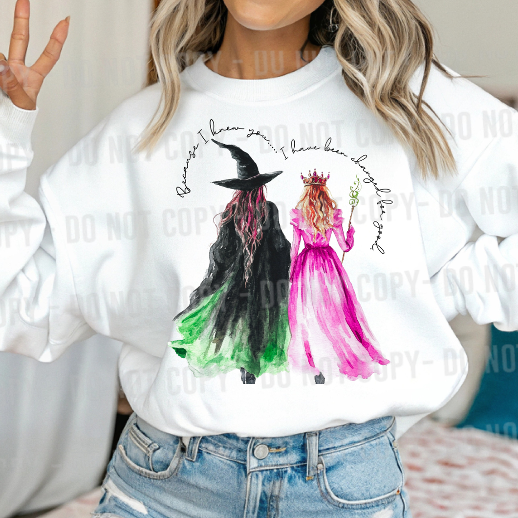 Wic_ed Watercolor Because I Knew You TRANSFER PARJO NOV 25