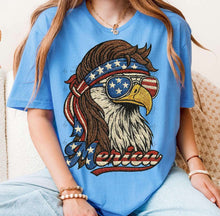 Load image into Gallery viewer, Merica Faux Embroidery Eagle TRANSFER
