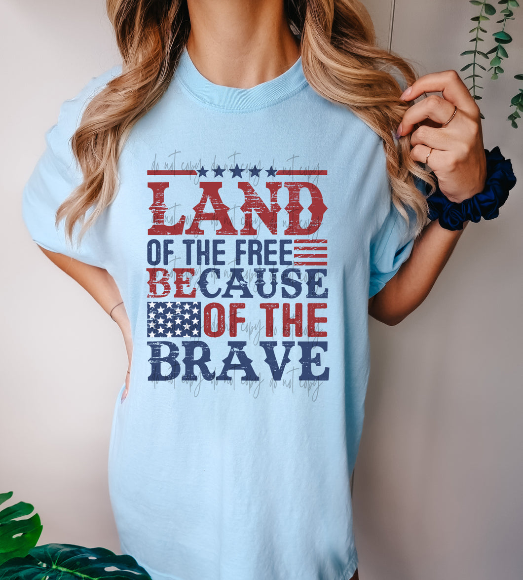 Land Of The Free Blue & Red TRANSFER