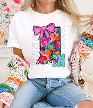 Load image into Gallery viewer, Mixed Paint With Bow States DTF TRANSFER
