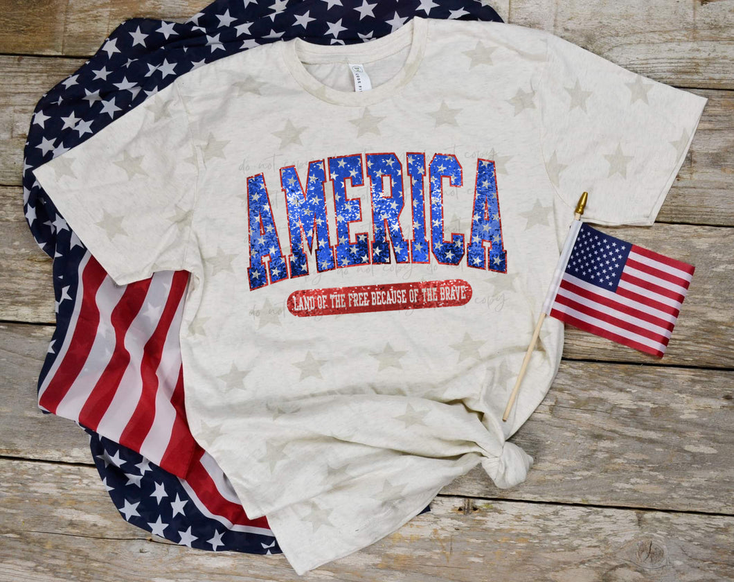 America Land Of The Free Because Of The Brave Faux Sequin TRANSFER
