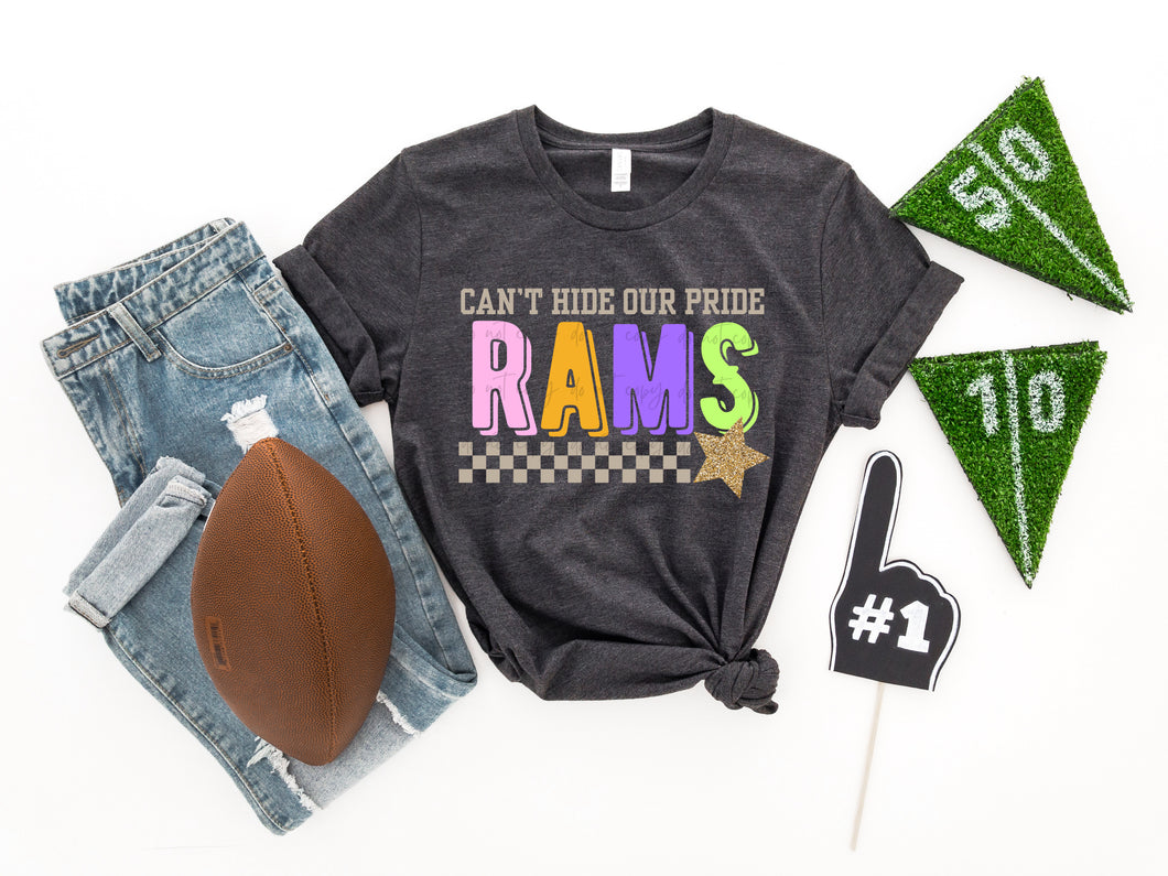 Can’t Hide Our Pride Mascots DROPDOWN TRANSFER PHAT