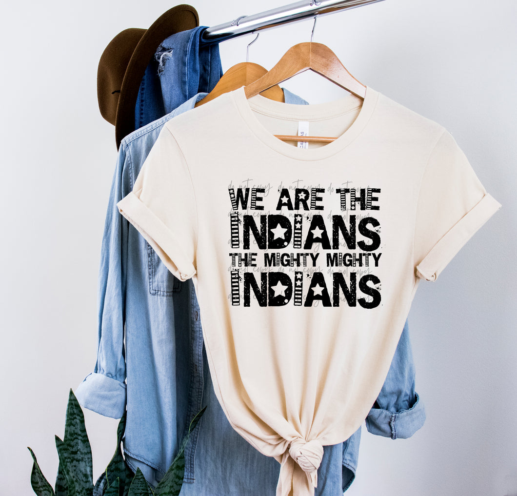 We Are The Indians Mighty Indians TRANSFER COR