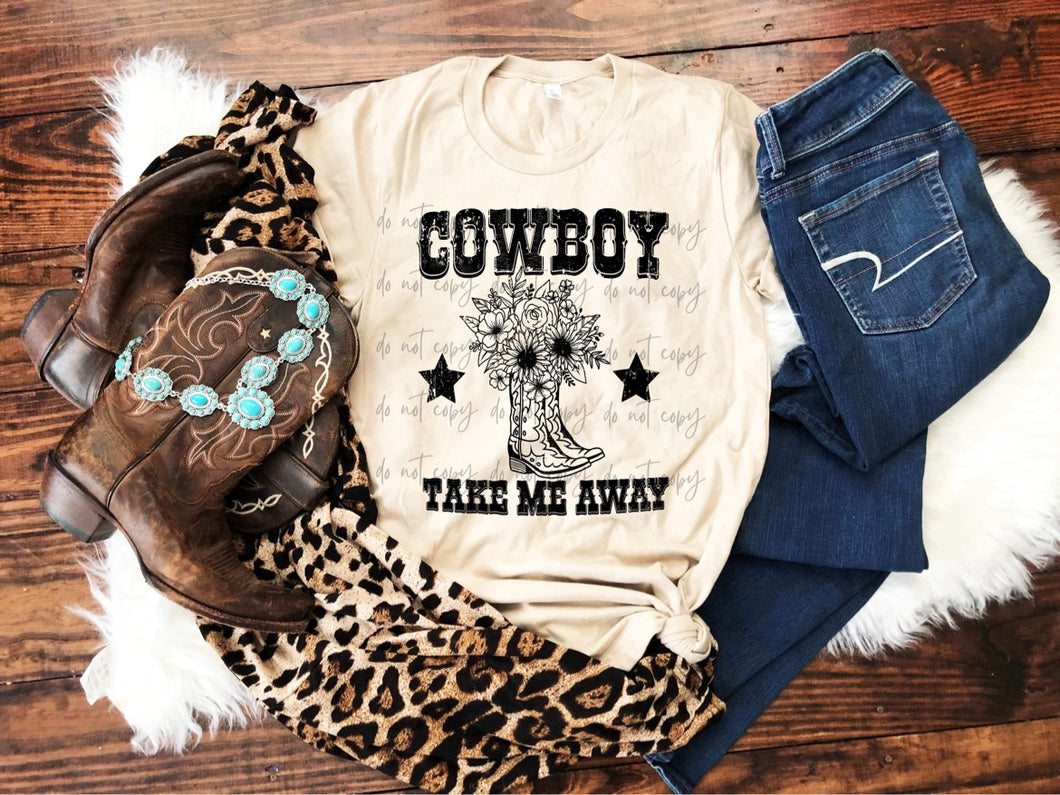 Cowboy Take Me Away SCREEN