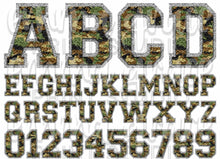 Load image into Gallery viewer, CUSTOM Chenille Letters TRANSFER
